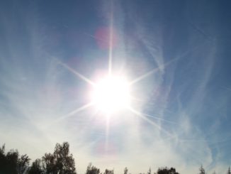 Die Sonne strahlt an einem beinahe wolkenlosen Himmel - das ist Sommer, wie er sein soll! Schwitzen Sie auch schon?