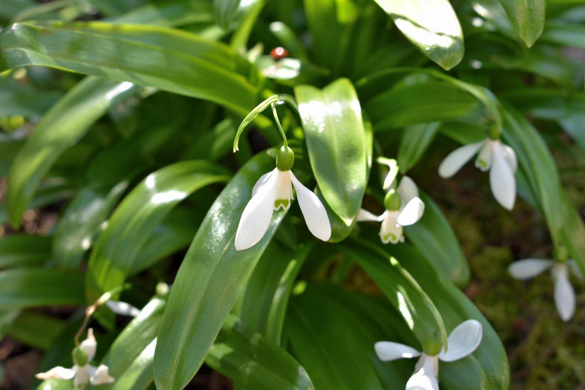 Der Frühling ist da! (Bildergalerie 5/10)