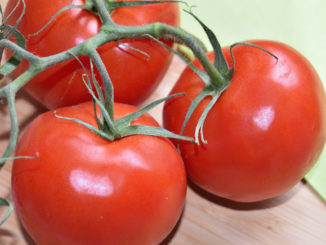 Strauchtomaten schmecken besonders aromatisch und sind lange haltbar - sie zählen deshalb nicht umsonst zu den Lieblingstomaten der Deutschen.