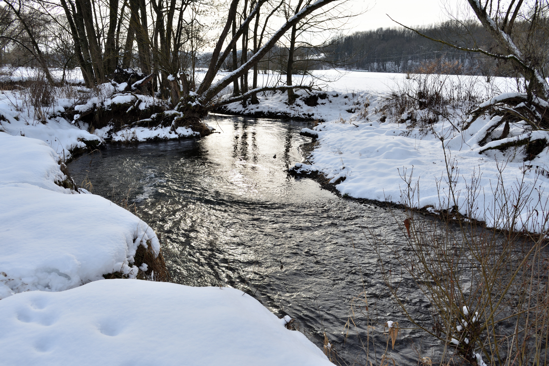 2021 - Der Winter in Bildern! (Bildergalerie 2/14)