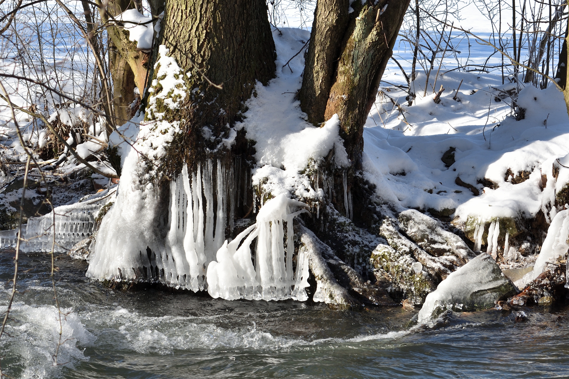 2021 - Der Winter in Bildern! (Bildergalerie 3/14)