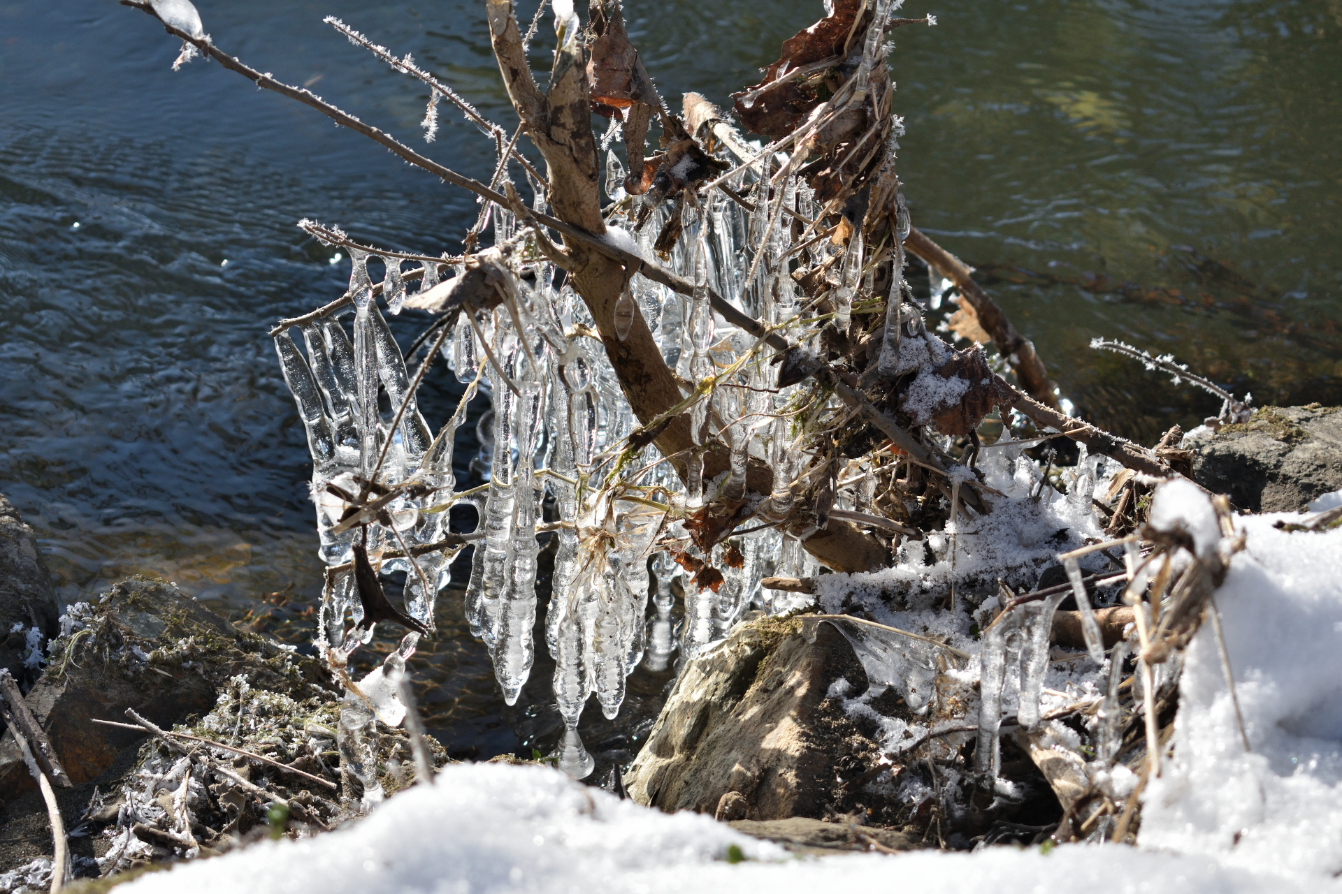 2021 - Der Winter in Bildern! (Bildergalerie 7/14)