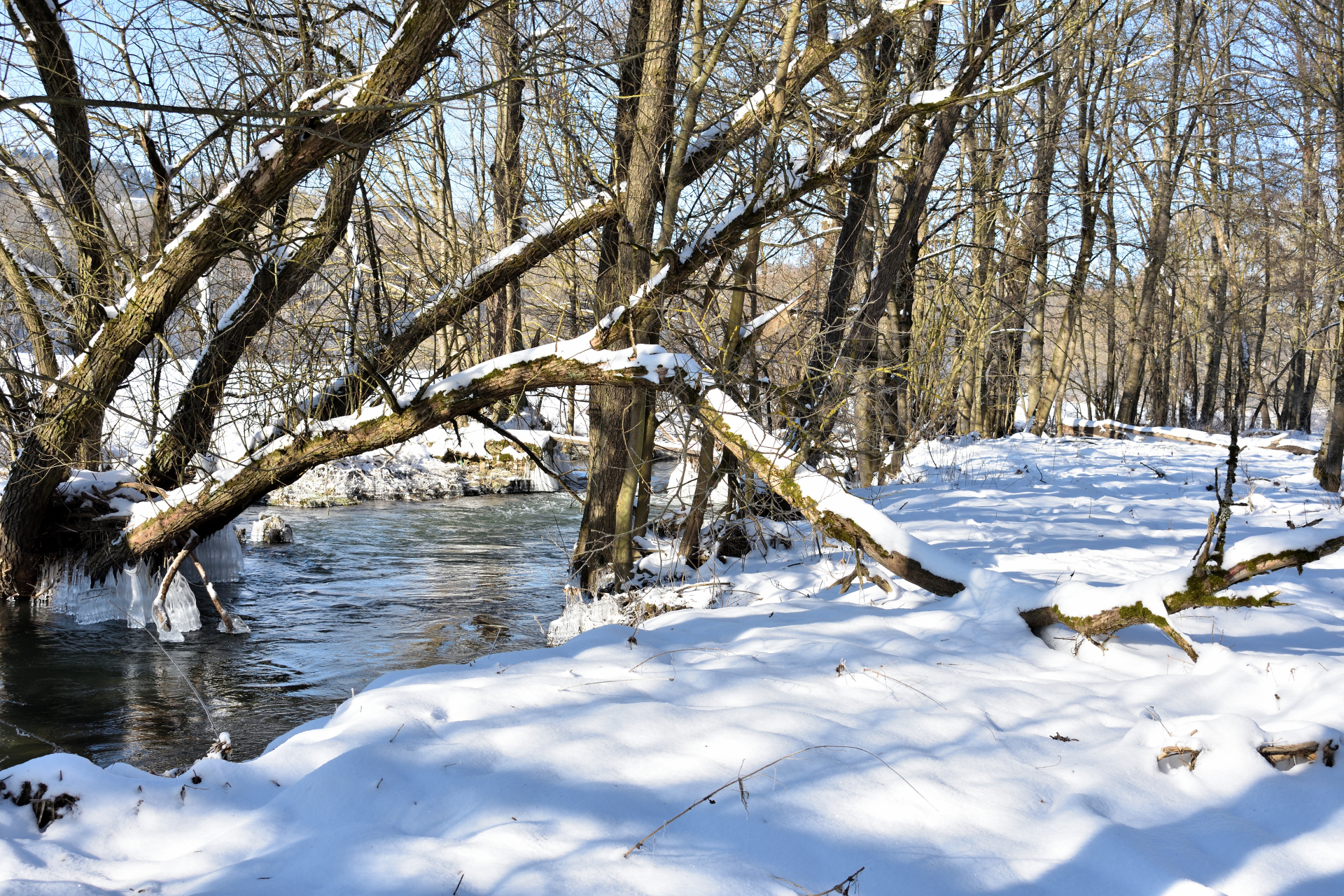 2021 - Der Winter in Bildern! (Bildergalerie 9/14)