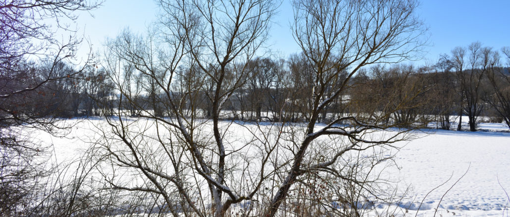 Dieses Jahr kann sich der Winter wirklich sehen lassen - Schnee und Eis so weit das Auge reicht... ☃️☃️☃️