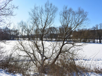 Dieses Jahr kann sich der Winter wirklich sehen lassen - Schnee und Eis so weit das Auge reicht... ☃️☃️☃️