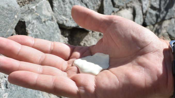 Sonnencreme sollte im Sommer eigentlich so selbstverständlich sein wie das leckere Eis zur Abkühlung - sie schützt, richtig angewendet, vor schädlicher UV-Strahlung und bewahrt uns vor schmerzhaftem Sonnenbrand und seinen gesundheitsschädlichen Folgen.