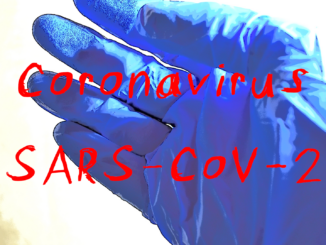 Das Coronavirus SARS-CoV-2 gilt als Verursacher der Atemwegserkrankung Covid-19.