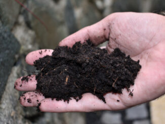 Wenn der fertige Kompost so feinkrümelig aussieht (und nur nach frischer Erde riecht), dann war es die perfekte Mischung an Grünmaterial und Gartenabfällen.