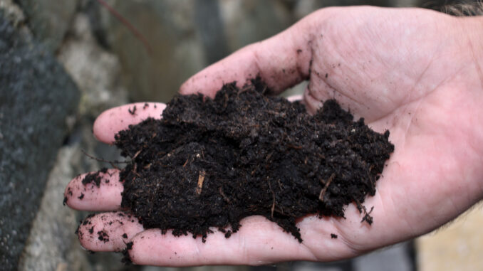 Wenn der fertige Kompost so feinkrümelig aussieht (und nur nach frischer Erde riecht), dann war es die perfekte Mischung an Grünmaterial und Gartenabfällen.